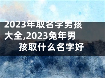 2023年取名字男孩大全,2023兔年男孩取什么名字好
