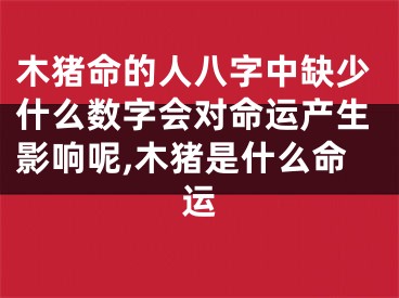 木猪命的人八字中缺少什么数字会对命运产生影响呢,木猪是什么命运