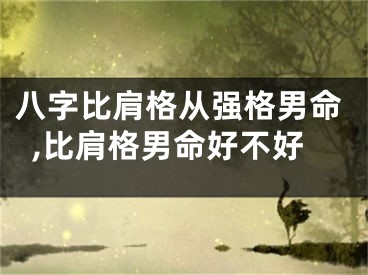八字比肩格从强格男命,比肩格男命好不好