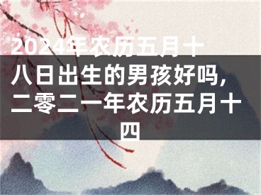 2024年农历五月十八日出生的男孩好吗,二零二一年农历五月十四