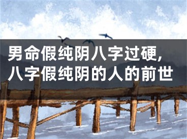 男命假纯阴八字过硬,八字假纯阴的人的前世