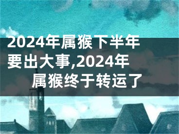 2024年属猴下半年要出大事,2024年属猴终于转运了