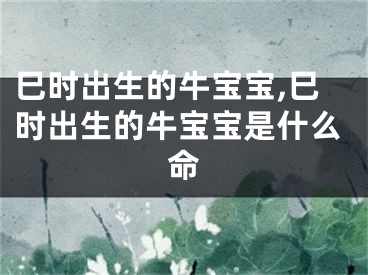 巳时出生的牛宝宝,巳时出生的牛宝宝是什么命