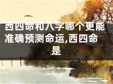 西四命和八字哪个更能准确预测命运,西四命是
