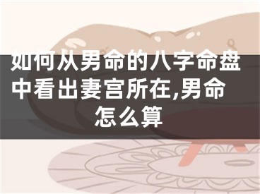 如何从男命的八字命盘中看出妻宫所在,男命怎么算