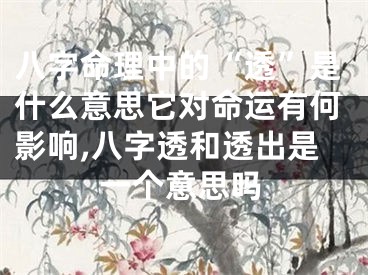 八字命理中的“透”是什么意思它对命运有何影响,八字透和透出是一个意思吗