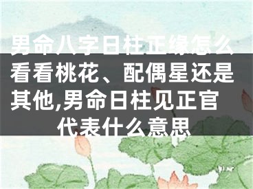 男命八字日柱正缘怎么看看桃花、配偶星还是其他,男命日柱见正官代表什么意思