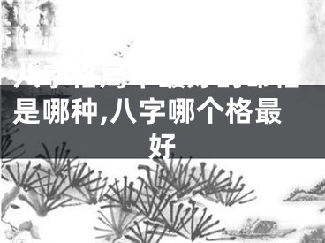 八字格局中最好的命格是哪种,八字哪个格最好