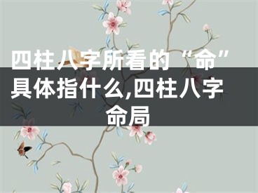 四柱八字所看的“命”具体指什么,四柱八字命局