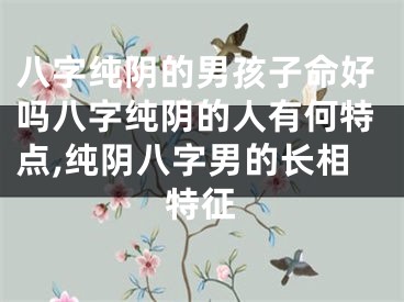 八字纯阴的男孩子命好吗八字纯阴的人有何特点,纯阴八字男的长相特征