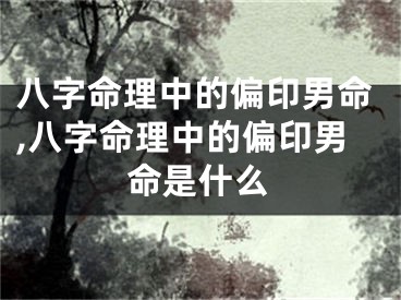 八字命理中的偏印男命,八字命理中的偏印男命是什么
