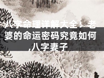 八字命理详解大全：老婆的命运密码究竟如何,八字妻子