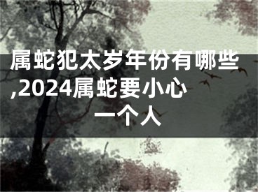 属蛇犯太岁年份有哪些,2024属蛇要小心一个人