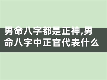 男命八字都是正神,男命八字中正官代表什么