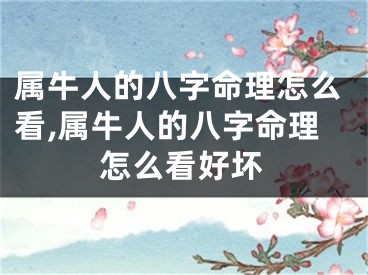 属牛人的八字命理怎么看,属牛人的八字命理怎么看好坏