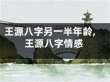 王源八字另一半年龄,王源八字情感