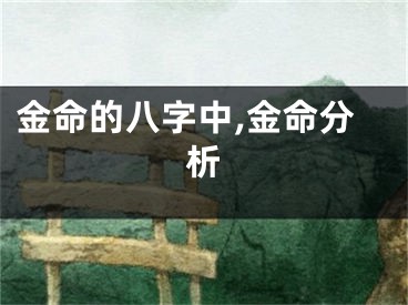 金命的八字中,金命分析
