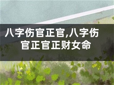 八字伤官正官,八字伤官正官正财女命