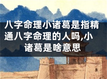 八字命理小诸葛是指精通八字命理的人吗,小诸葛是啥意思