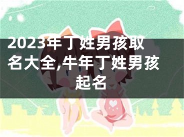 2023年丁姓男孩取名大全,牛年丁姓男孩起名