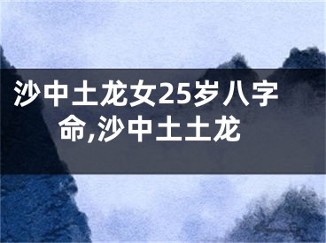 沙中土龙女25岁八字命,沙中土土龙