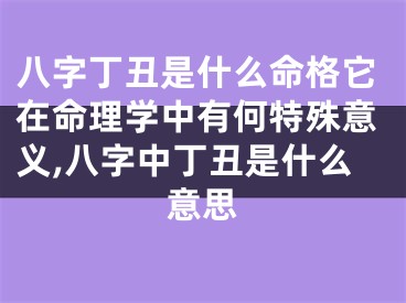 八字丁丑是什么命格它在命理学中有何特殊意义,八字中丁丑是什么意思