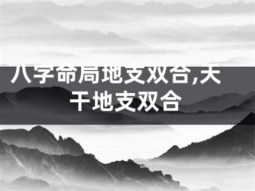 八字命局地支双合,天干地支双合