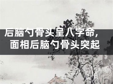 后脑勺骨头呈八字命,面相后脑勺骨头突起