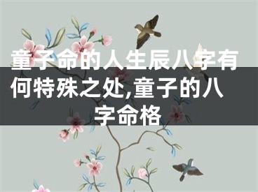 童子命的人生辰八字有何特殊之处,童子的八字命格