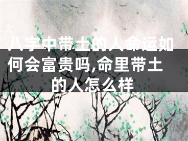 八字中带土的人命运如何会富贵吗,命里带土的人怎么样