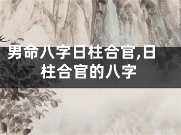 男命八字日柱合官,日柱合官的八字