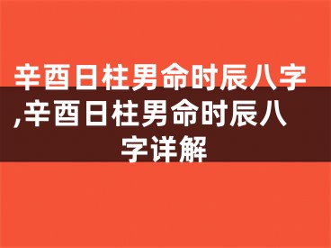 辛酉日柱男命时辰八字,辛酉日柱男命时辰八字详解