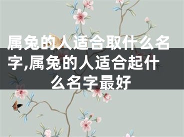 属兔的人适合取什么名字,属兔的人适合起什么名字最好