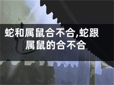 蛇和属鼠合不合,蛇跟属鼠的合不合