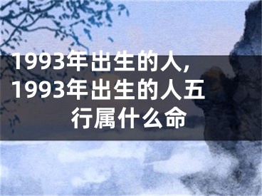 1993年出生的人,1993年出生的人五行属什么命