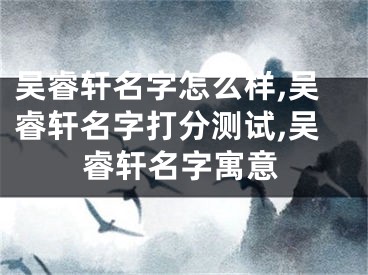 吴睿轩名字怎么样,吴睿轩名字打分测试,吴睿轩名字寓意