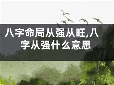 八字命局从强从旺,八字从强什么意思
