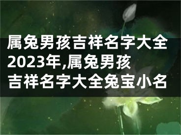 属兔男孩吉祥名字大全2023年,属兔男孩吉祥名字大全兔宝小名