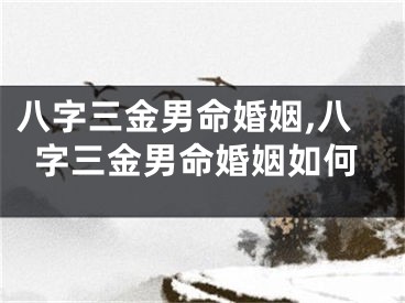 八字三金男命婚姻,八字三金男命婚姻如何