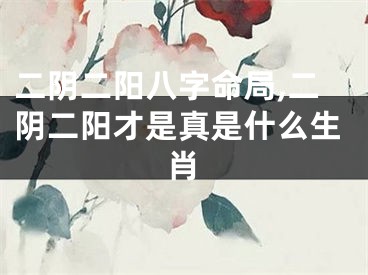 二阴二阳八字命局,二阴二阳才是真是什么生肖