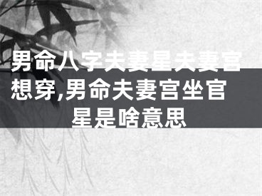 男命八字夫妻星夫妻宫想穿,男命夫妻宫坐官星是啥意思