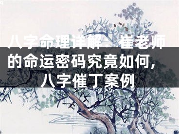 八字命理详解：崔老师的命运密码究竟如何,八字催丁案例