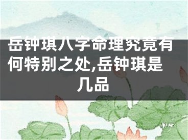 岳钟琪八字命理究竟有何特别之处,岳钟琪是几品