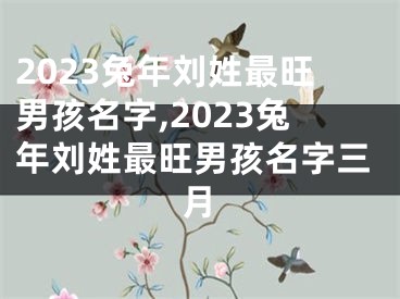 2023兔年刘姓最旺男孩名字,2023兔年刘姓最旺男孩名字三月