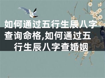 如何通过五行生辰八字查询命格,如何通过五行生辰八字查婚姻