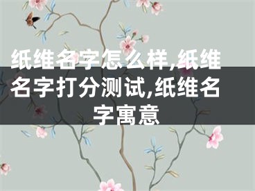 纸维名字怎么样,纸维名字打分测试,纸维名字寓意