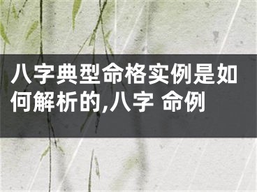 八字典型命格实例是如何解析的,八字 命例