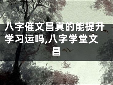 八字催文昌真的能提升学习运吗,八字学堂文昌