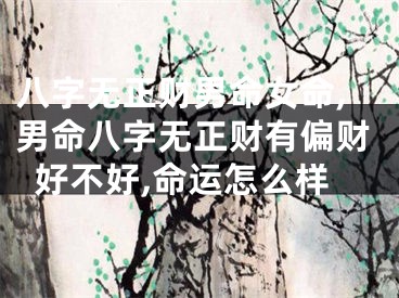 八字无正财男命女命,男命八字无正财有偏财好不好,命运怎么样