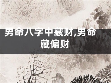 男命八字中藏财,男命藏偏财